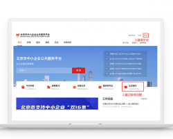 北京市网上办事大厅入口